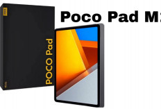 POCO Pad M1 Resmi Mengguncang Pasar Tablet Mid-Range, Snapdragon 7s Gen 3 Jadi Andalan