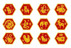 Ramalan Shio Kuda, Shio Naga, Shio Kelinci, Shio Monyet, Shio Macan Hari Ini