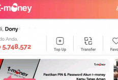 Langkah Praktis Mengumpulkan Saldo DANA Gratis dari T-Money