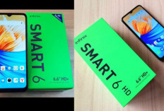 Infinix Smart 6 Plus: Smartphone Entry-Level dengan Layar Luas dan Baterai Tahan Lama