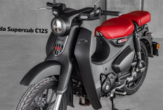 Miliki Detail Mesin Retro yang Memikat, Begini Spesifikasi Lengkap Honda Honda Supercub C125