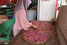 Harga Bawang Merah di OKU Masih Stabil