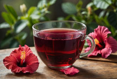 Jangan Asal Minum Teh, Ini 5 Teh Herbal dengan Segudang Manfaat untuk Kesehatan