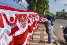 Kebanjiran Rezeki, Tak Jual Bendera One Piece
