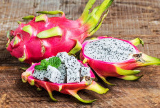7 Manfaat Buah Naga yang Bisa Tingkatkan Kesehatan Tubuh dan Kulit