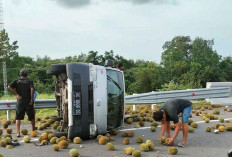 Pick Up Pengakut Durian Terguling di Tol Indralaya - Prabumulih