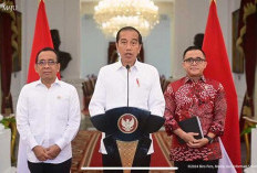 Jokowi Buka Rekrutmen 2,3 Juta Formasi CASN, KemenPAN-RB Gandeng Kemenkeu