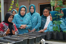 Siap Ubah Limbah Jadi Rupiah