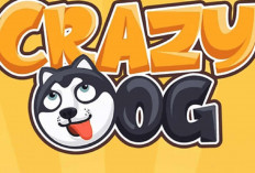 Game Crazy Dog Viral! Benarkah Bisa Hasilkan Saldo DANA Hingga Rp200 Ribu