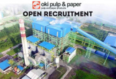Terbaru! Lowongan Kerja Pabrik Kertas PT Oki Pulp & Paper, Penempatan Palembang Butuh Banyak Posisi 