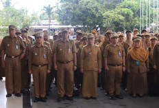 BKN Tegaskan Hak ASN Tak Boleh Terhambat, Karier Dijamin Lebih Transparan