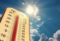 Suhu Panas Capai 34 Derajat Celsius, BPBD Ogan Ilir Siaga Karhutla