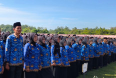 Pemda OKU Selatan Umumkan Alokasi PPPK Paruh Waktu, Wajib Unggah 9 Dokumen DRH 