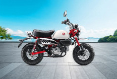 Fitur Keamanan Honda Monkey 125, Motor Mini Tapi Tetap Aman dan Modern