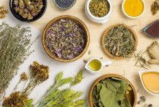 Minim Efek Samping dengan Obat Alami, Ini 5 Daun yang Megobati Asma