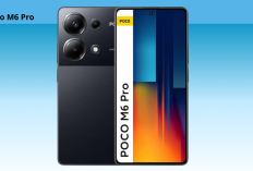 Uji Kamera POCO M6 Pro: Sensor 64 MP dengan OIS, Seberapa Jago di Segala Cahaya?