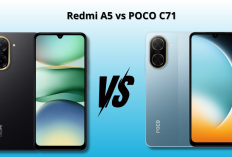 Redmi A5 dan POCO C71, HP 1 Jutaan dengan Layar 120Hz dan Kamera 32 MP