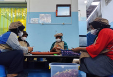 BGN Pastikan 32 Ribu Pegawai SPPG Diangkat Jadi PPPK, Berlaku 1 Februari 2026