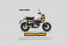 Gaya Klasik Bikin Nostalgia, Ini Spesifikasi Tangguh Honda Monkey
