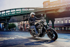 Kawasaki Vulcan S 2025: Penantang Baru di Kelas Cruiser, Harga Rp220 Jutaan!