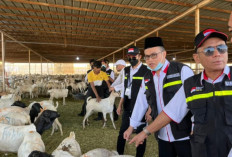 Tak Harus di Tanah Suci, Muhammadiyah Perbolehkan Penyembelihan Dam di Indonesia