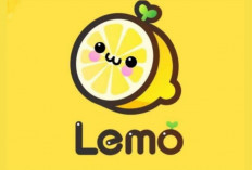 Tanam Sayur Virtual, Dapat Saldo DANA? Begini Caranya di Lemo