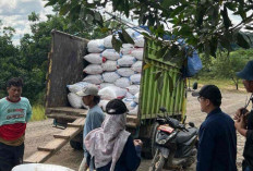 Bulog Optimalkan Penyerapan Gabah dan Beras di Lahat, Targetkan 9.505 Ton Gabah pada 2025