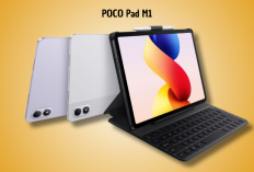 Review POCO Pad M1: Tablet 120Hz Termurah dengan Snapdragon 7s Gen 2!