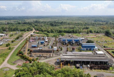 Awal Tahun 2025, Adera Field Catatkan Kenaikan Produksi Minyak dan Gas: Dukung Swasembada Energi Nasional 