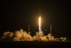 Satelit Nusantara Lima Resmi Mengorbit, Siap Perluas Akses Internet hingga ASEAN