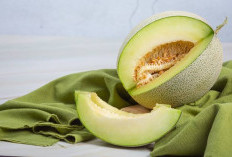 Mendukung Sistem Kekebalan Tubuh, Ini Manfaat Buah Melon Untuk Kesehatan