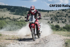 Motor Touring Siap Untuk Menjelajah, Ini Spesifikasi Honda CRF250 Rally