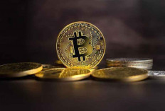 Apa Perbedaan Kripto dan Bitcoin? Pahami Sebelum Berinvestasi