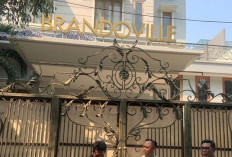 Inilah Brandoville, Studio Animasi yang Diduga Punya Manager Kasar terhadap Karyawan