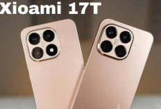 Xiaomi 17T dan 17T Pro Muncul di Sertifikasi IMDA, Tanda Rilis Global Semakin Dekat