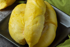 Tau Durian? Ini 7 Efek Sampingnya Jika di Konsumsi Secara Berlebihan