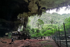 UNESCO Akui Keajaiban Gua Niah di Malaysia sebagai Situs Warisan Dunia