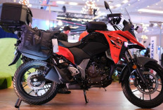 Adu Spesifikasi Suzuki V-Strom 250 SX vs Honda CB150X, Lebih Pilih Tenaga Besar atau Efisiensi?