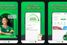Cara Mudah Dapat Saldo DANA Gratis Tanpa Undang Teman, Cukup Lewat Game!