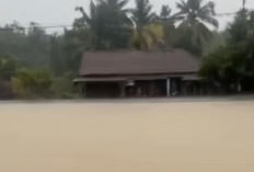 Banjir OKI Meluas, Sawah dan Perkebunan Ikut Terendam