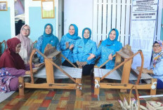 Silaturahmi sekaligus Promosi, Ketua TP PKK Provinsi Kunjungi Prabumulih; Tinjau Produksi Tenun Songket Nanas 