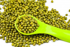 Kacang Hijau: Superfood Lokal dengan Segudang Manfaat Kesehatan