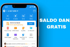 4 Cara Cepat Mendapatkan Saldo DANA Tanpa Ribet, Bisa Langsung Cair!