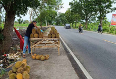 Musim Durian Tiba, Pedagang Dadakan Penuhi Jalan Lintas Timur Kayuagung