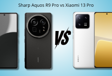Duel Smartphone Kamera 1 Inci: Sharp Aquos R9 Pro vs Xiaomi 13 Pro, Siapa Jawaranya?