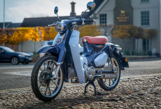 Spesifikasi Lengkap Honda Super Cub C125, Motor Klasik Premium dengan Teknologi Modern