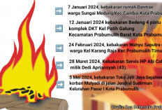 1 Korban Meninggal, 1 Karhutla, Kasus Kebakaran di Kota Prabumulih Hingga Juli 2024