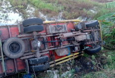 Kecelakaan Maut di Jalintim OKI: Sopir Truk Diduga Mengantuk, Kendaraan Terjun ke Rawa