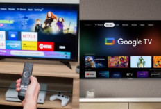 Smart TV vs Google TV, Mana yang Lebih Canggih untuk Hiburan di Rumah?
