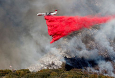 Fungsi Bubuk Pink di Kebakaran Hutan Los Angeles, Begini Cara Kerjanya